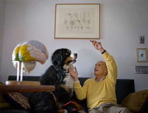 免费轰炸软件版