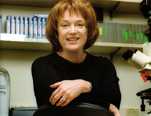 短信压力测试平台