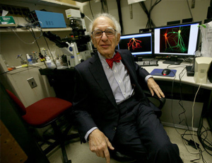 恶意发送验证短信